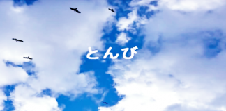 とんび(文部省唱歌)